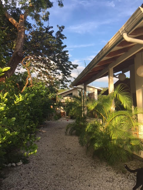6 bed Single Family Homes For Sale in Samara, Guanacaste - thumb 25