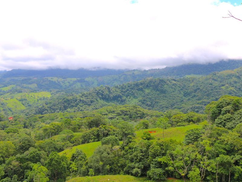 0 bed Land For Sale in Dominical, Puntarenas - 1