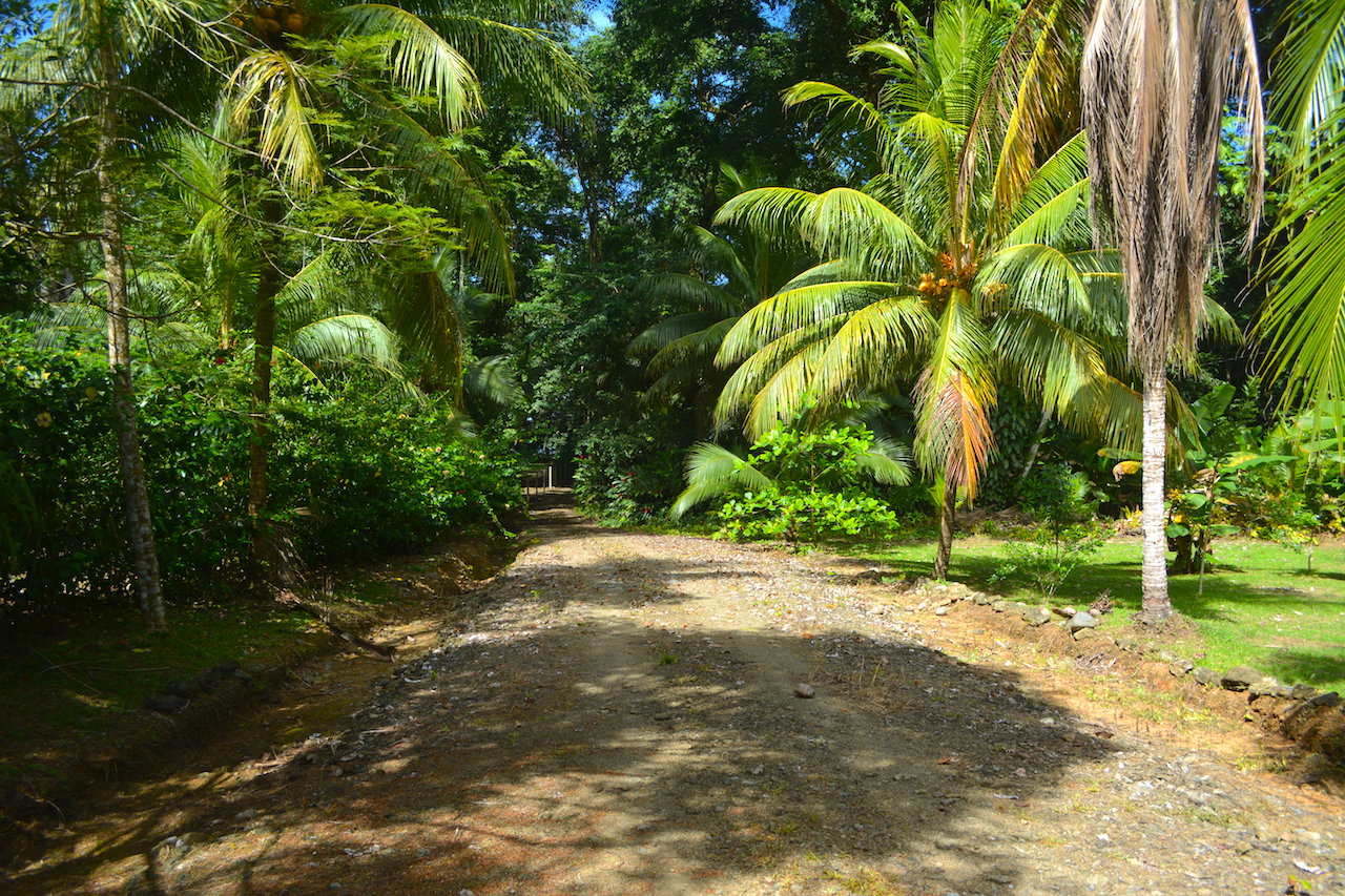 0 bed Land For Sale in Uvita, Puntarenas - thumb 17