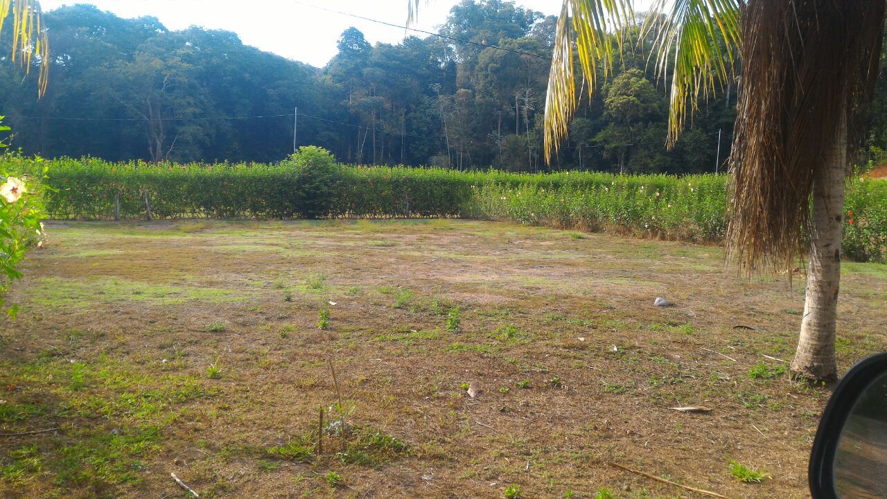 0 bed Land For Sale in Uvita, Puntarenas - thumb 19