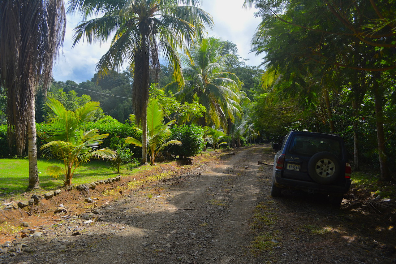 0 bed Land For Sale in Uvita, Puntarenas - thumb 10