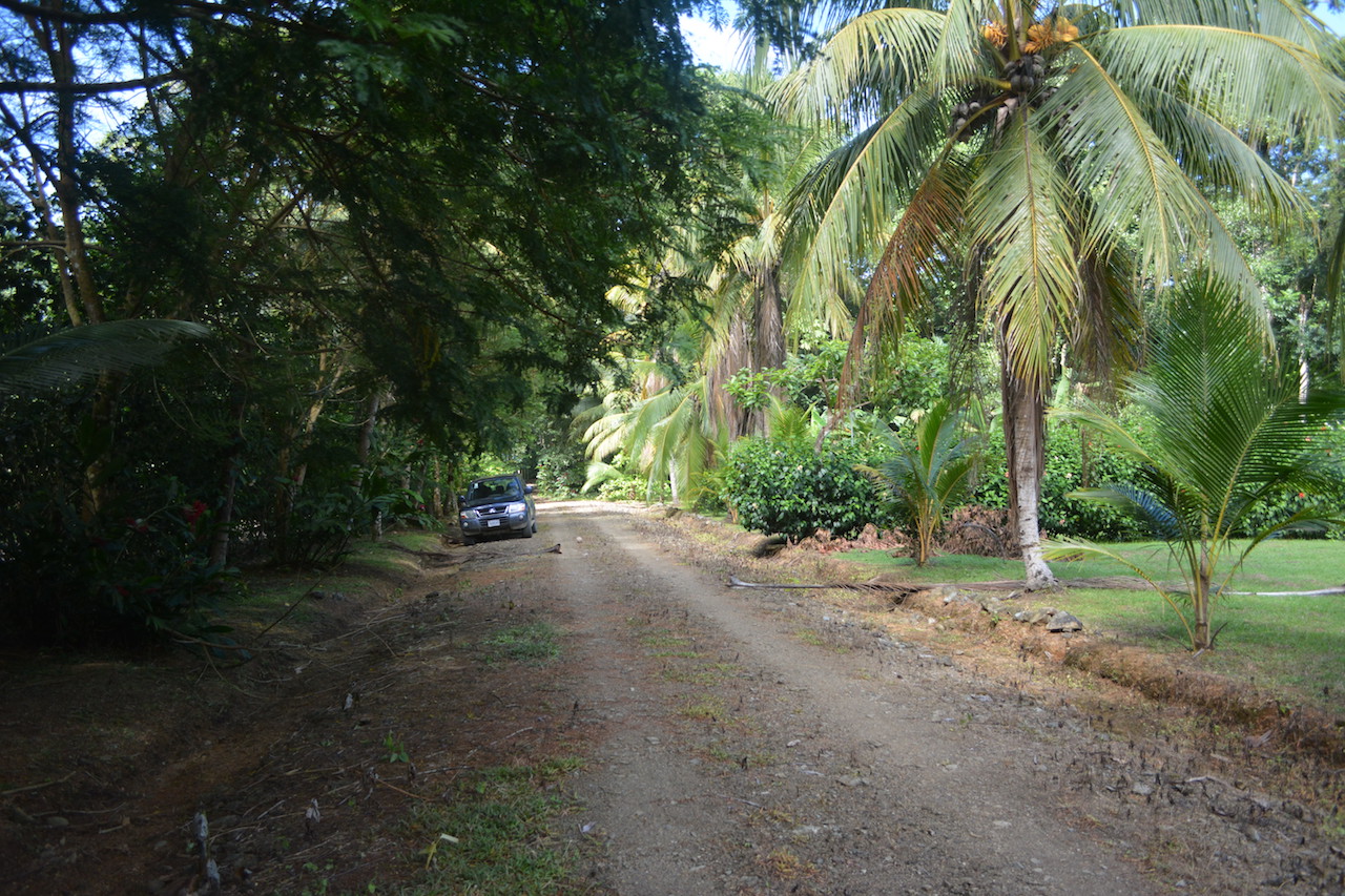 0 bed Land For Sale in Uvita, Puntarenas - thumb 12