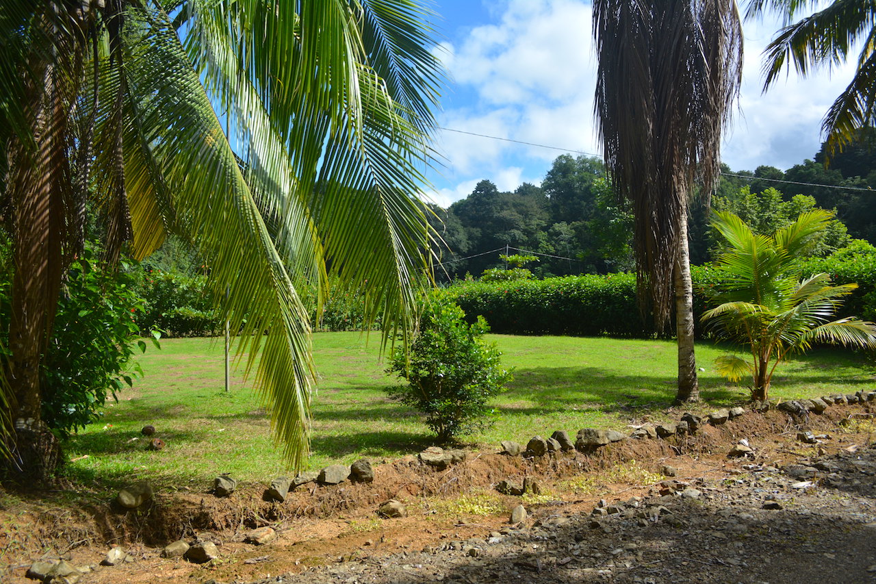 0 bed Land For Sale in Uvita, Puntarenas - thumb 6