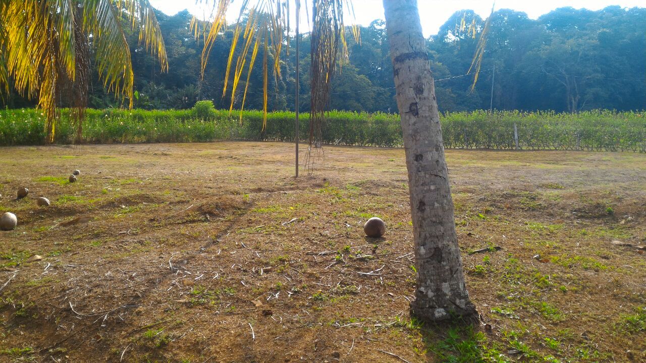 0 bed Land For Sale in Uvita, Puntarenas - thumb 16