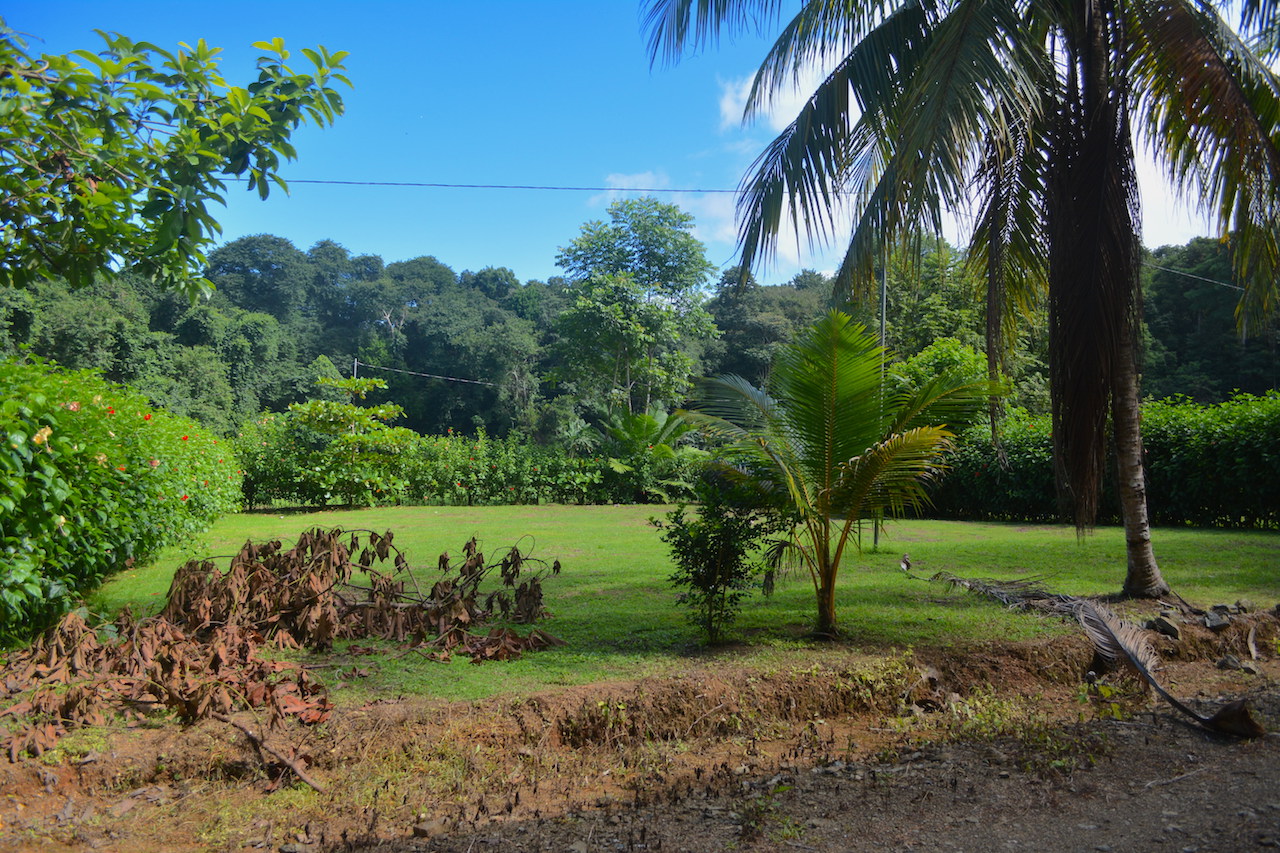 0 bed Land For Sale in Uvita, Puntarenas - thumb 15