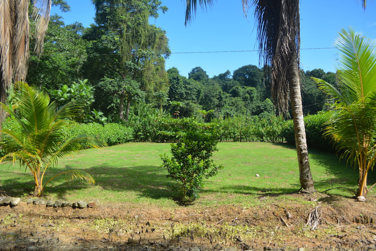 0 bed Land For Sale in Uvita, Puntarenas - thumb 13