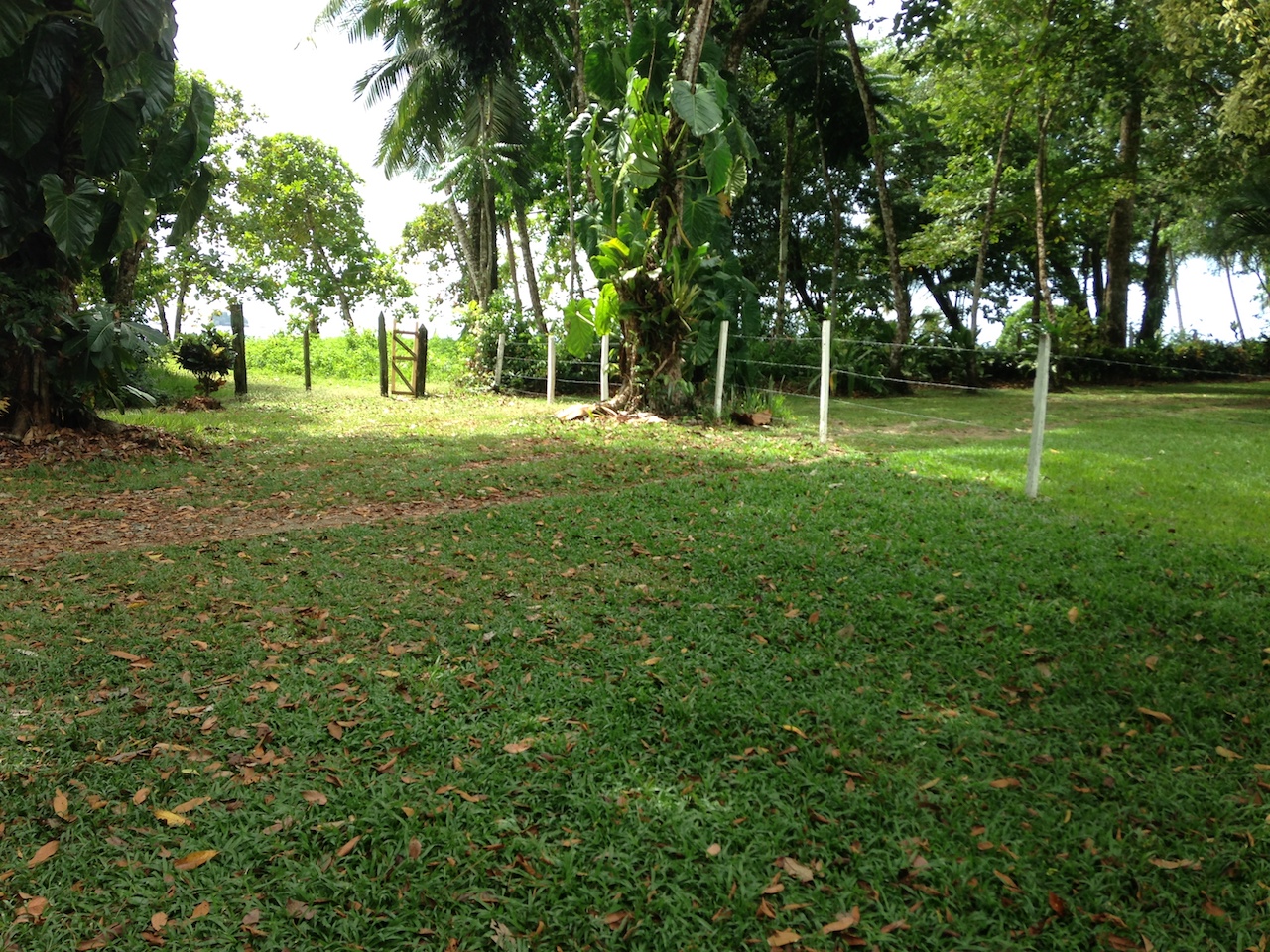 0 bed Land For Sale in Uvita, Puntarenas - thumb 4