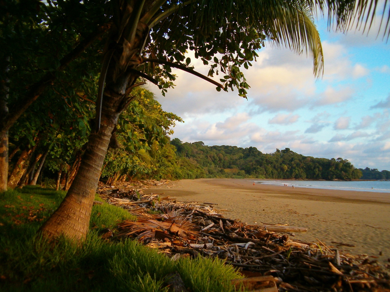 0 bed Land For Sale in Uvita, Puntarenas - thumb 18