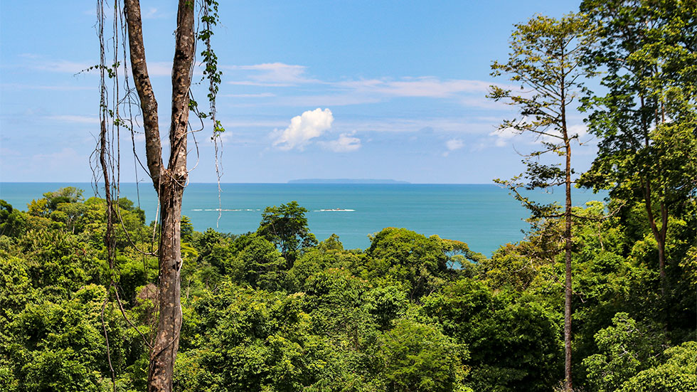 3 bed Single Family Homes For Sale in Uvita, Puntarenas - thumb 28