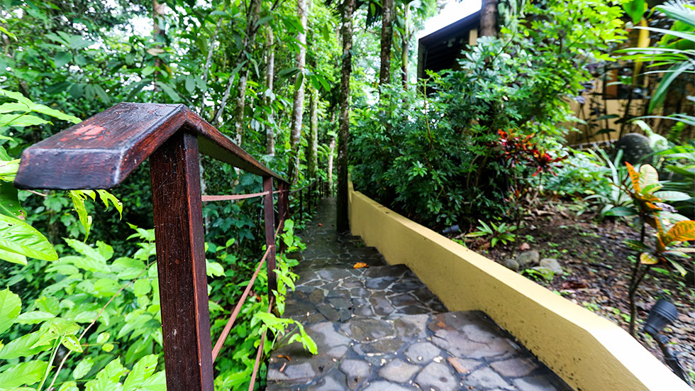 3 bed Single Family Homes For Sale in Uvita, Puntarenas - thumb 26