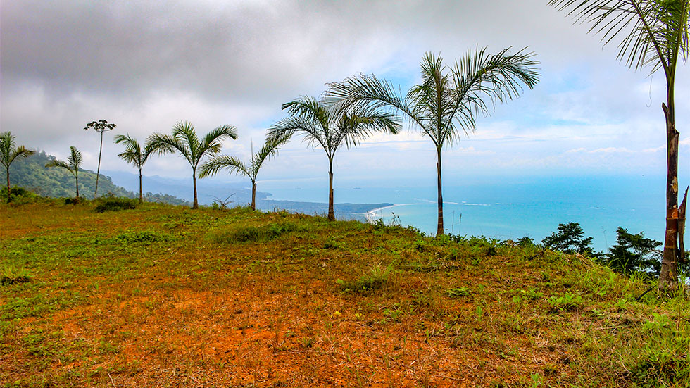 0 bed Land For Sale in Uvita, Puntarenas - thumb 12