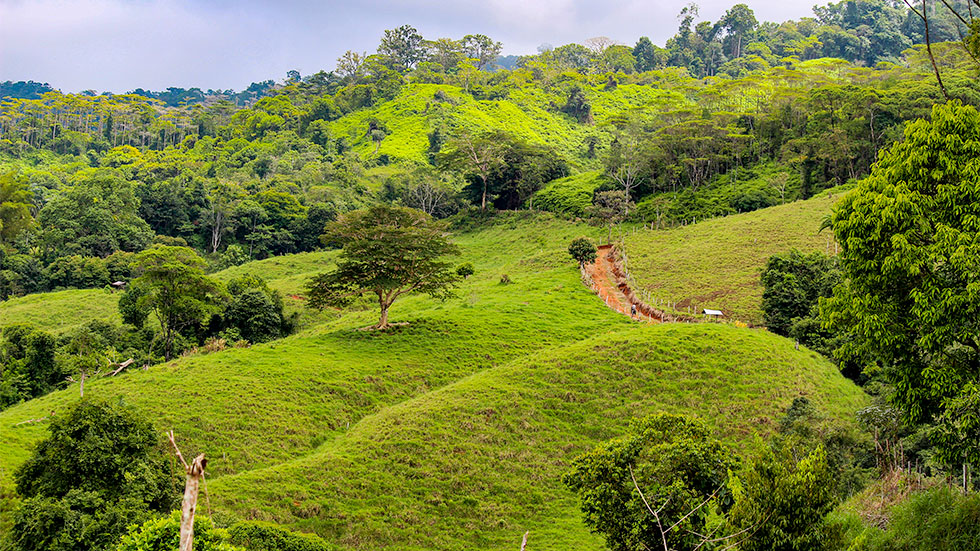 0 bed Land For Sale in Uvita, Puntarenas - thumb 13