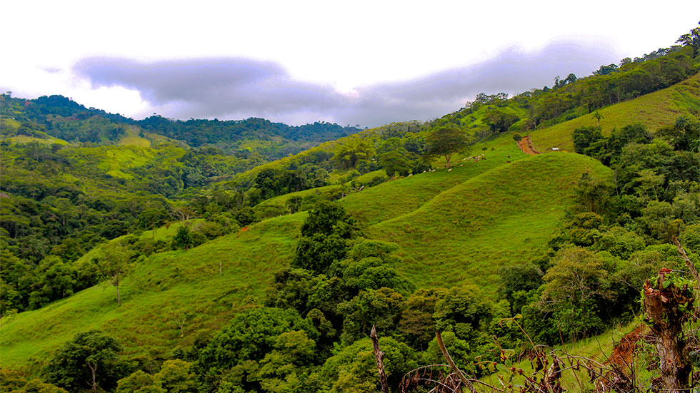 0 bed Land For Sale in Uvita, Puntarenas - thumb 11