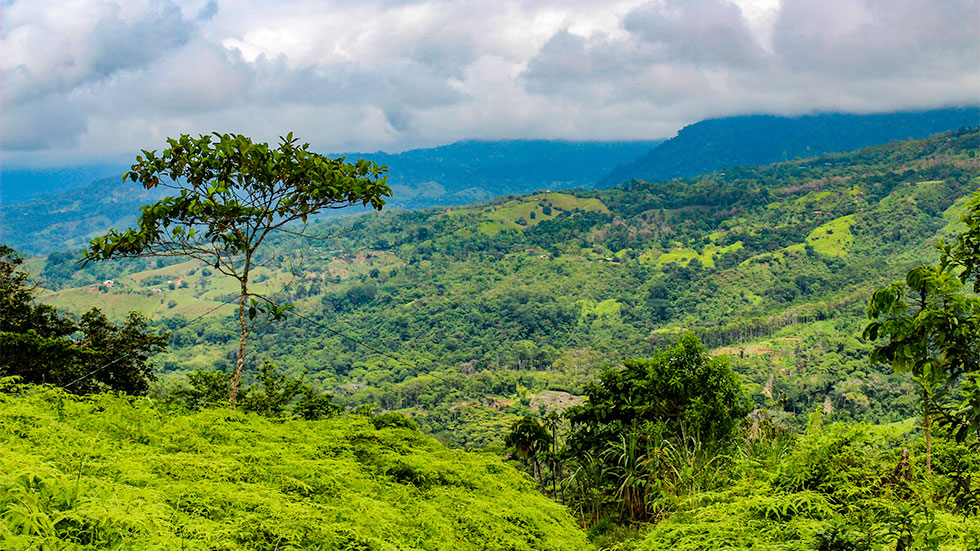 0 bed Land For Sale in Uvita, Puntarenas - thumb 1