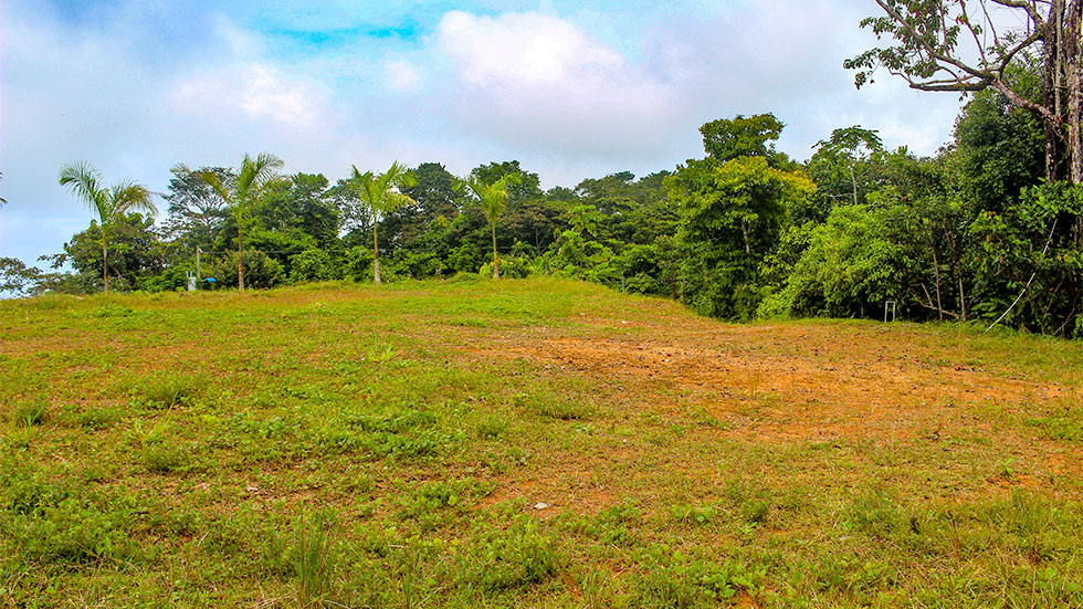 0 bed Land For Sale in Uvita, Puntarenas - thumb 14