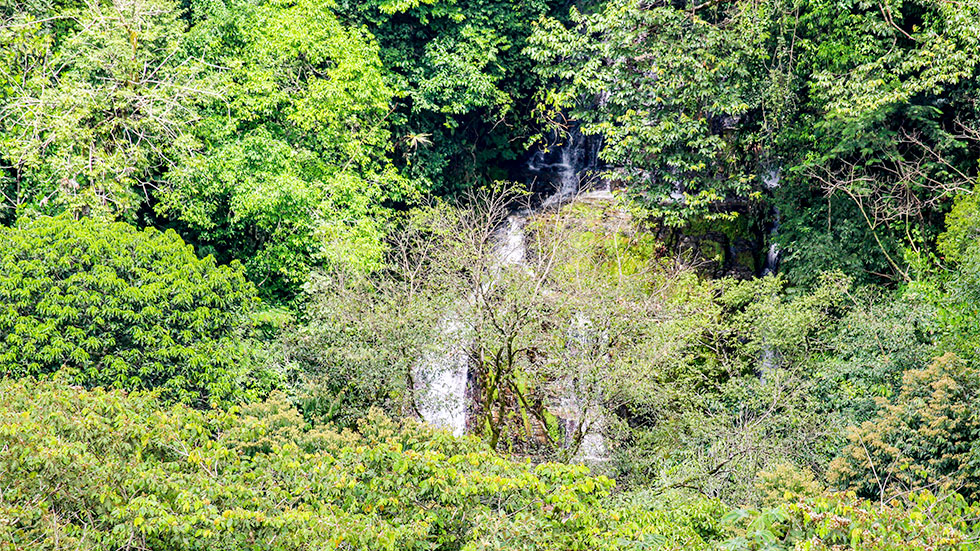 0 bed Land For Sale in Uvita, Puntarenas - thumb 6