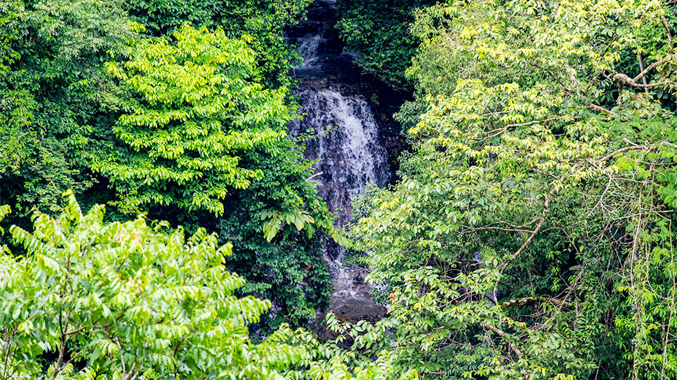 0 bed Land For Sale in Uvita, Puntarenas - thumb 7