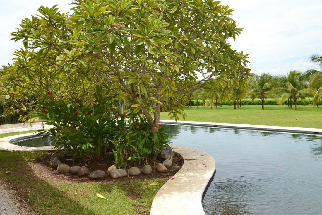 3 bed Single Family Homes For Sale in Santa Cruz, Guanacaste - thumb 6