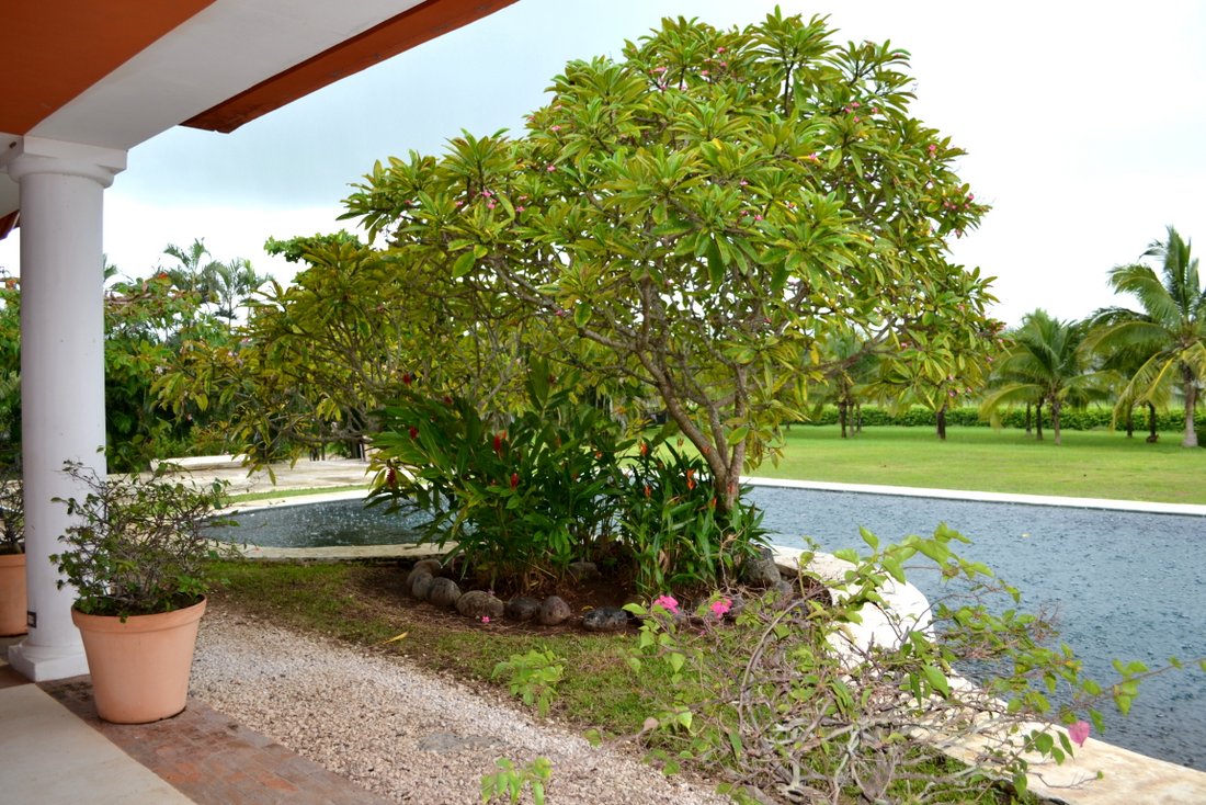3 bed Single Family Homes For Sale in Santa Cruz, Guanacaste - thumb 7