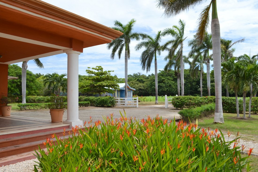 3 bed Single Family Homes For Sale in Santa Cruz, Guanacaste - thumb 10