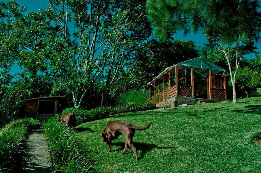 4 bed Single Family Homes For Sale in Escazu, San Jose - thumb 20