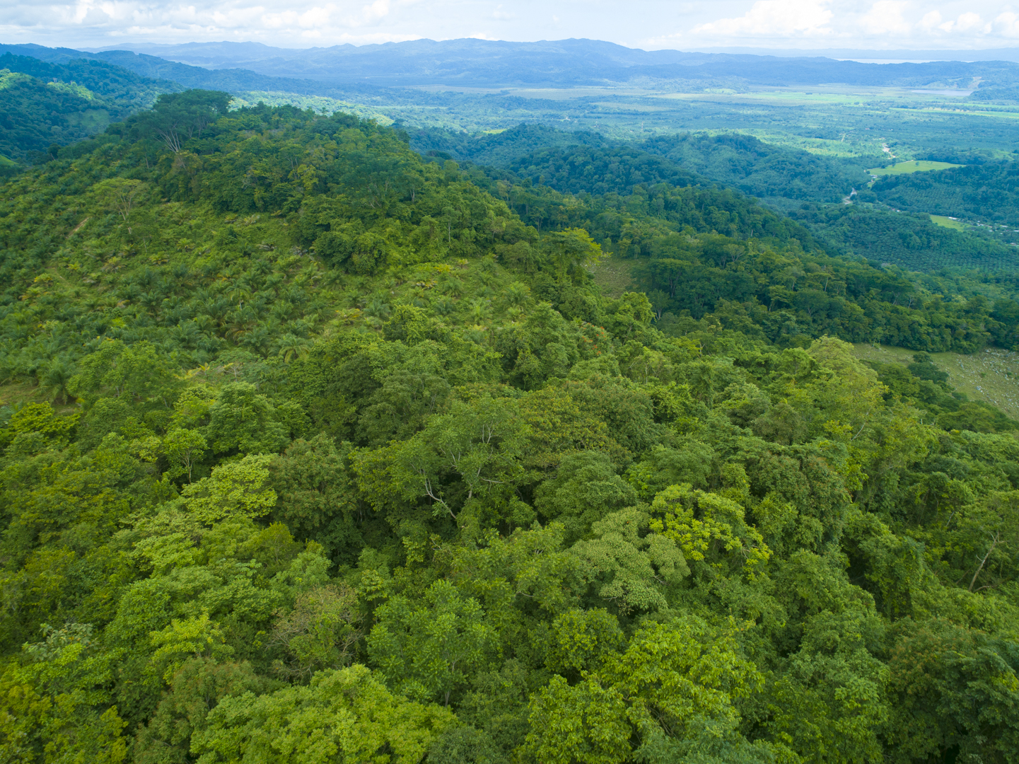 0 bed Land For Sale in Golfito, Puntarenas - thumb 12