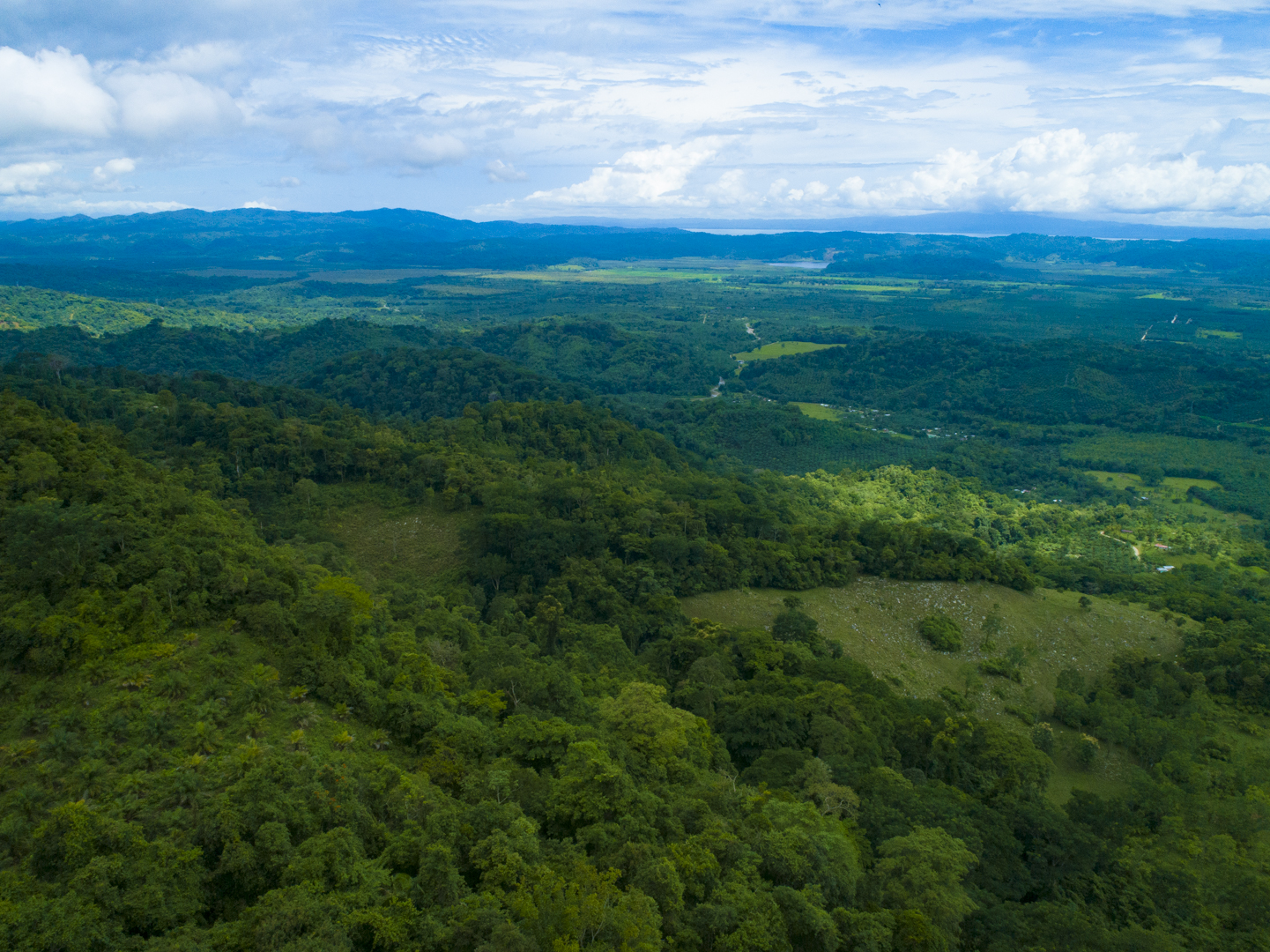 0 bed Land For Sale in Golfito, Puntarenas - thumb 9