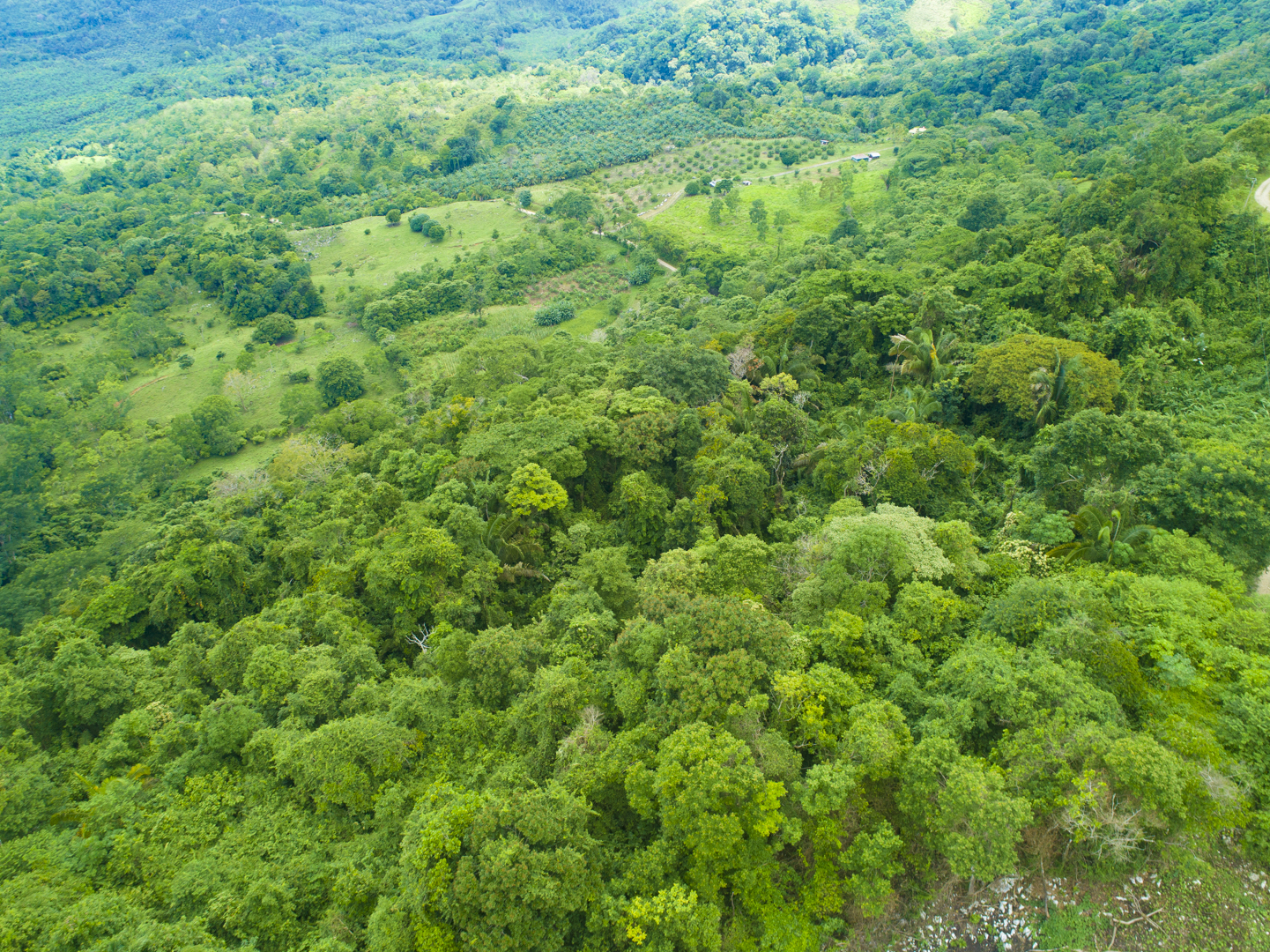 0 bed Land For Sale in Golfito, Puntarenas - thumb 15