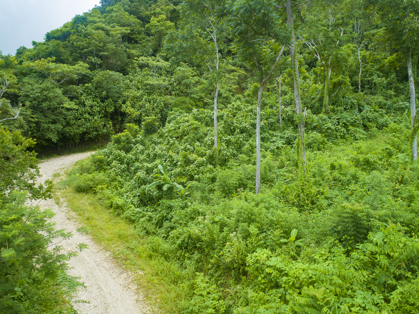 0 bed Land For Sale in Golfito, Puntarenas - thumb 8