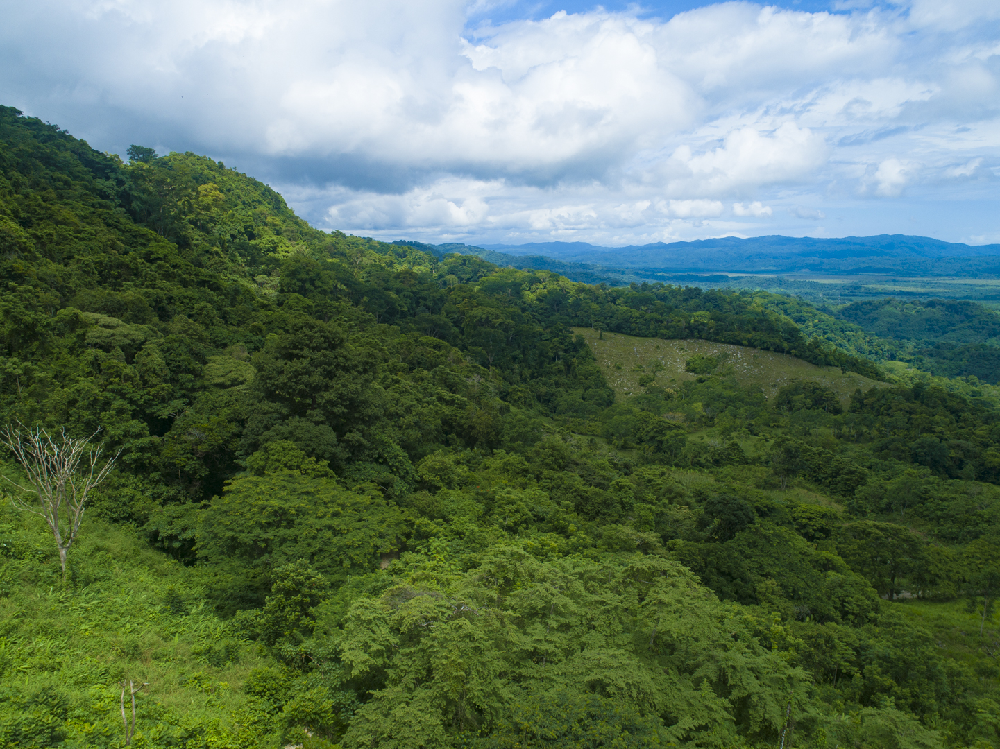 0 bed Land For Sale in Golfito, Puntarenas - thumb 5