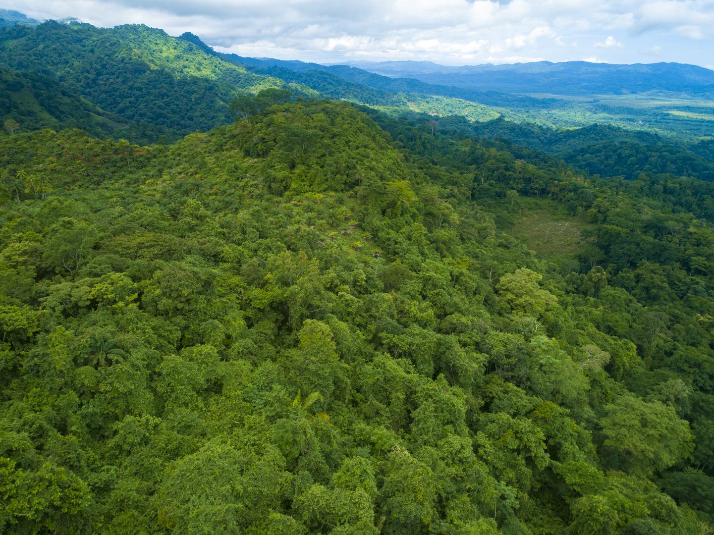 0 bed Land For Sale in Golfito, Puntarenas - thumb 10