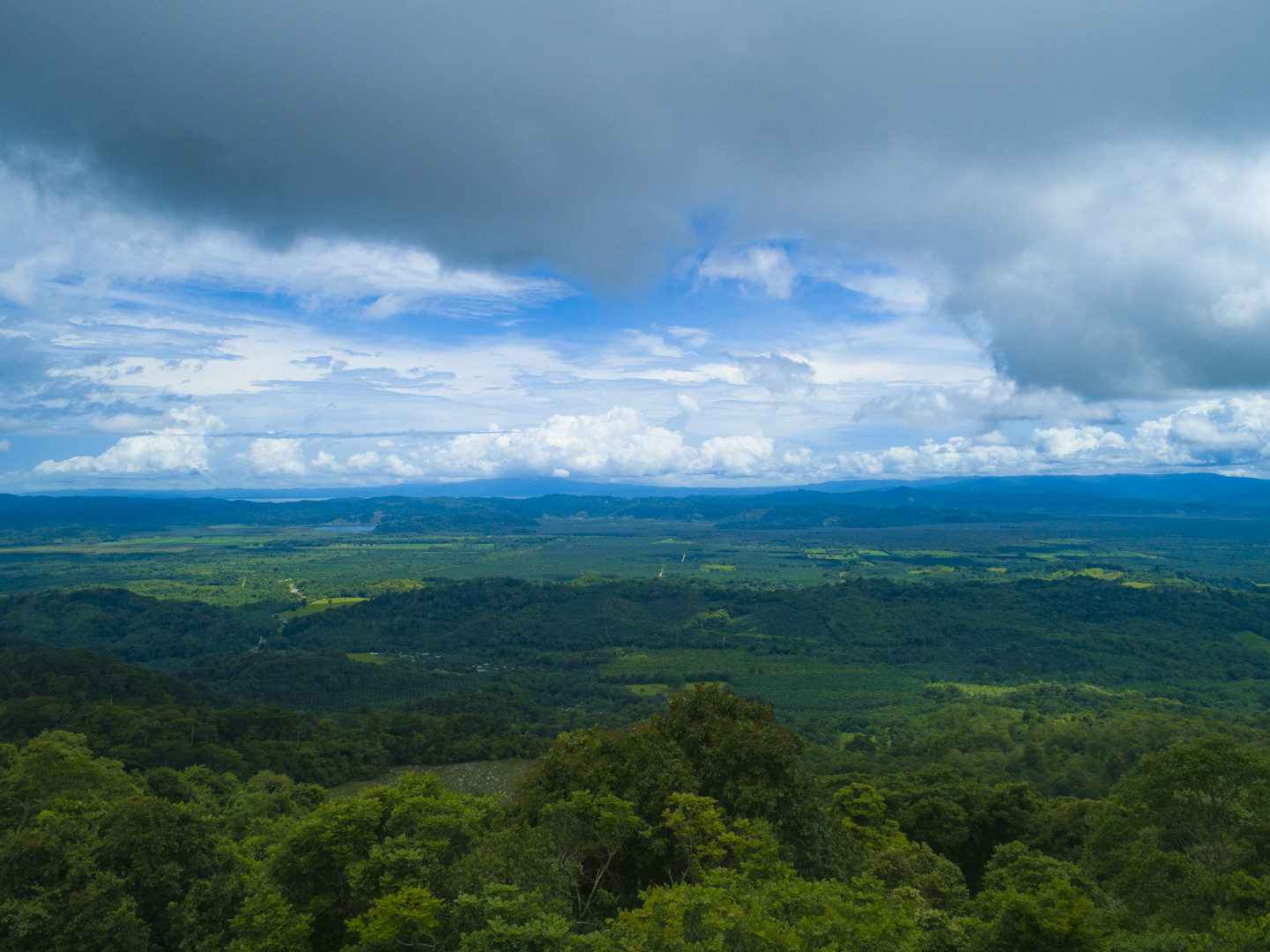 0 bed Land For Sale in Golfito, Puntarenas - thumb 1