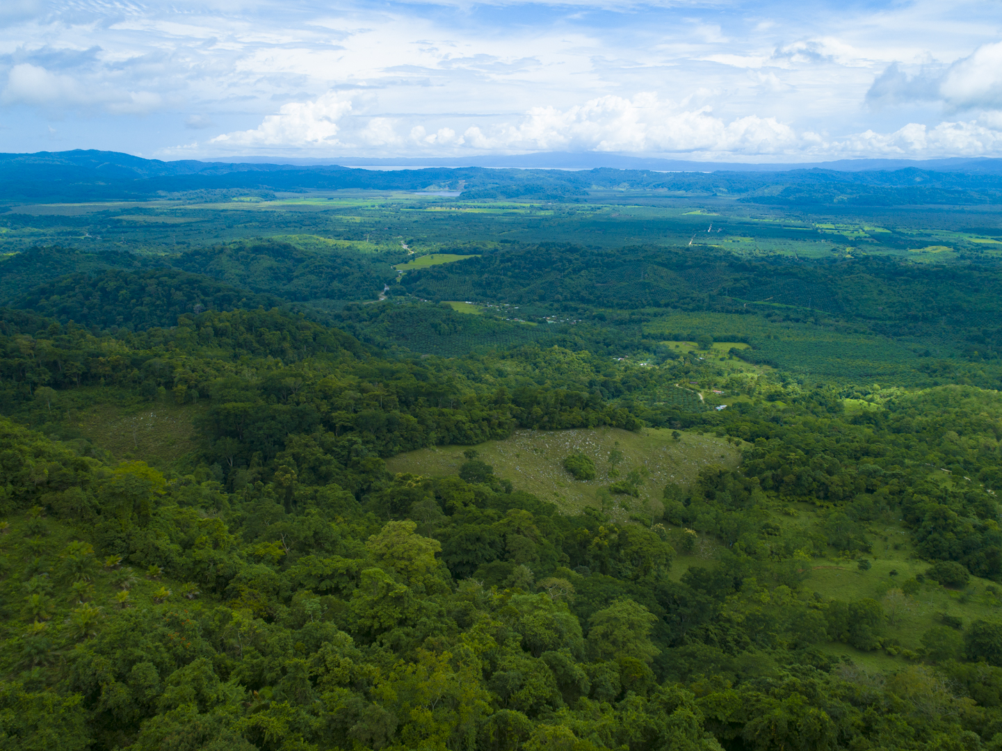 0 bed Land For Sale in Golfito, Puntarenas - thumb 14