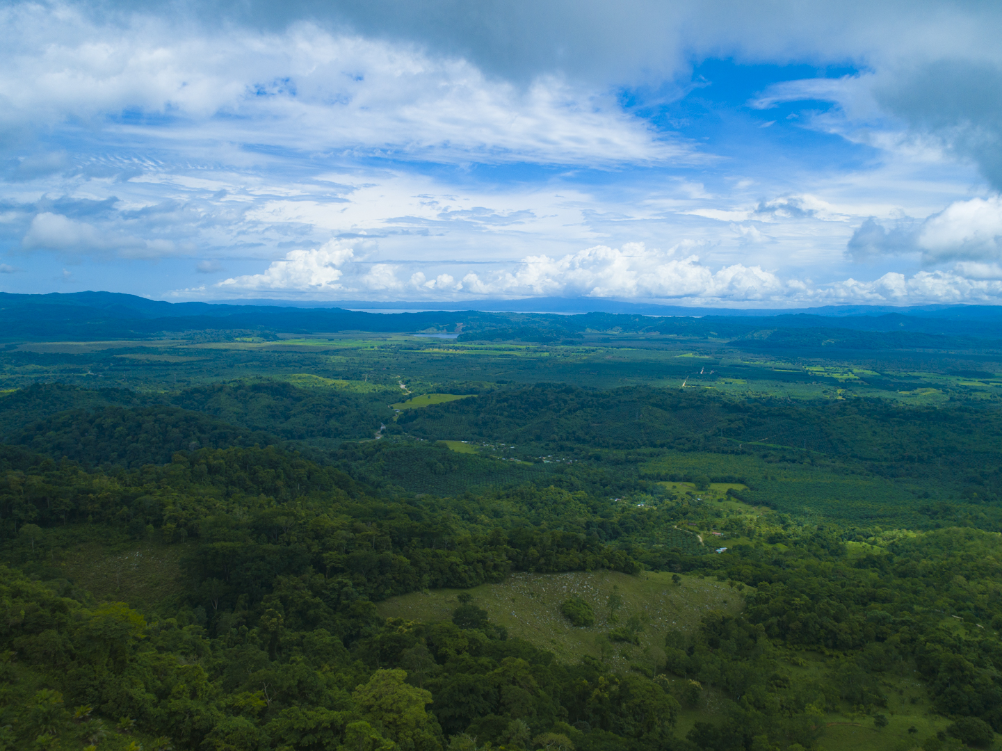 0 bed Land For Sale in Golfito, Puntarenas - thumb 3