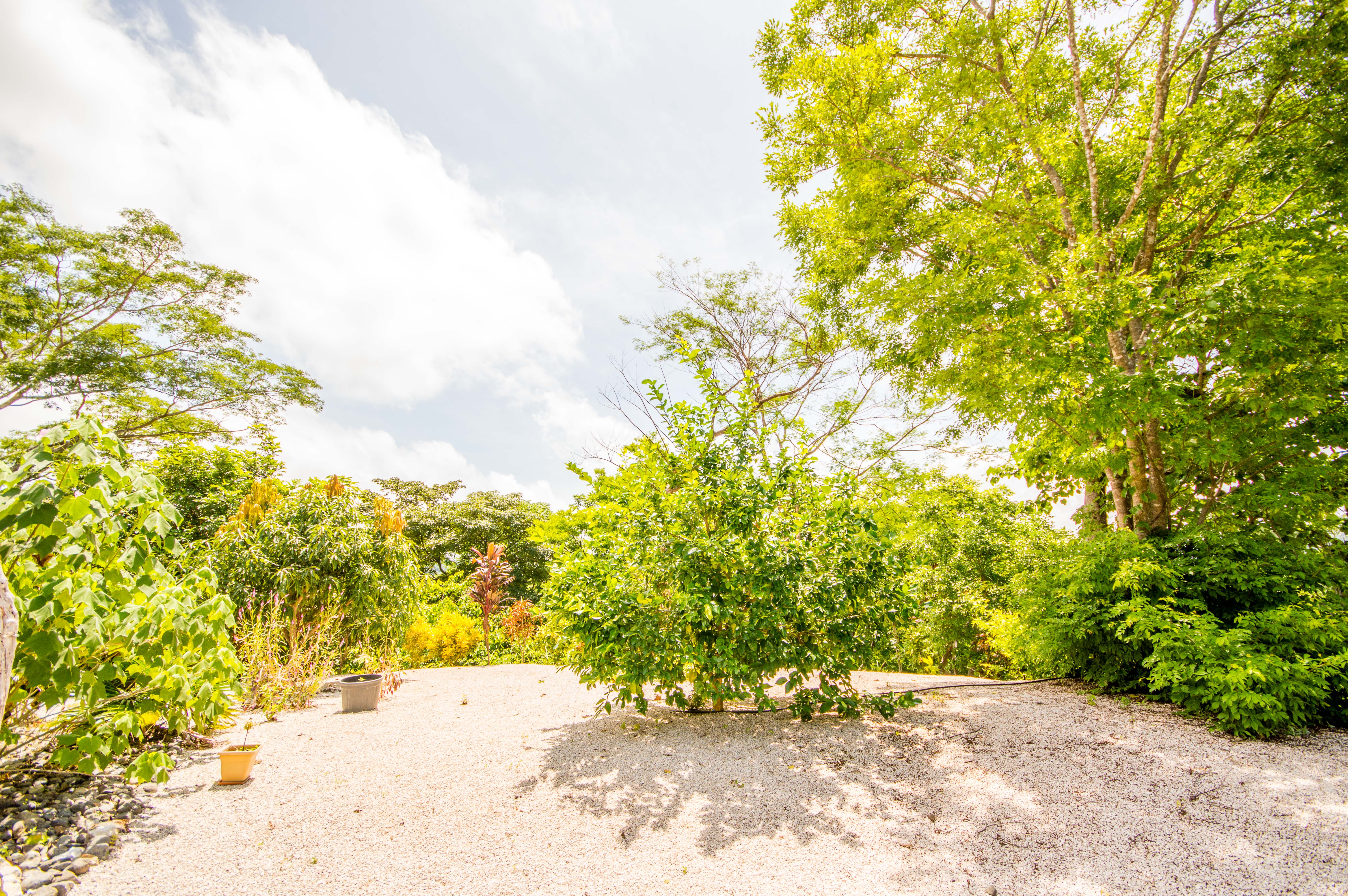 3 bed Single Family Homes For Sale in Samara, Guanacaste - thumb 10