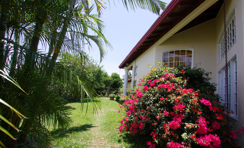 6 bed Single Family Homes For Sale in Grecia, Alajuela - thumb 7