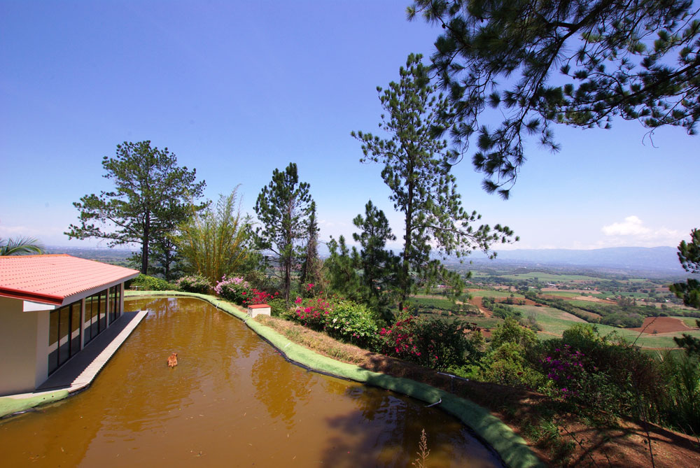 6 bed Single Family Homes For Sale in Grecia, Alajuela - thumb 22