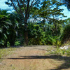  - SW #11 Ocean View lot just minutes from Samara!