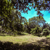  - Samara Woods 32 Open lot surrounded by Guanacaste trees 5 min to Samara