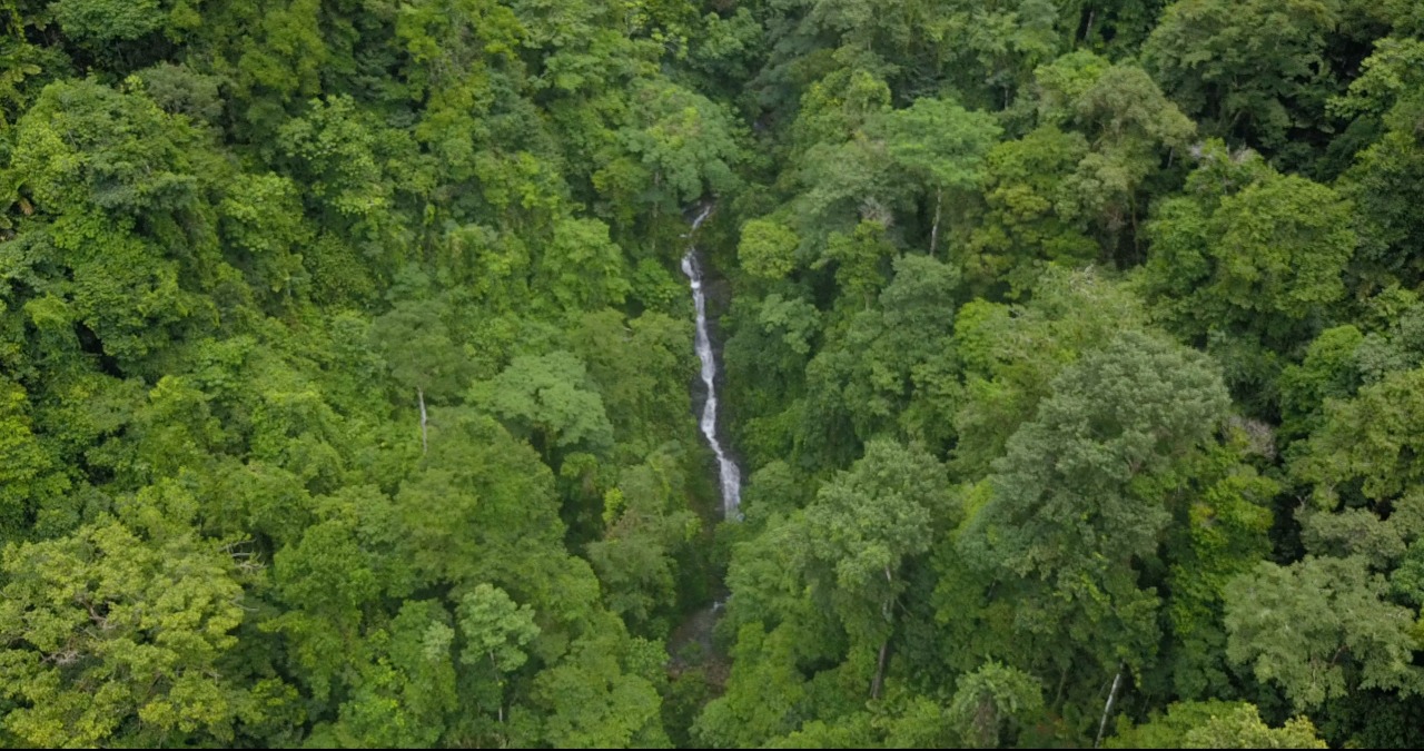 0 bed Land For Sale in Ojochal, Puntarenas - thumb 16