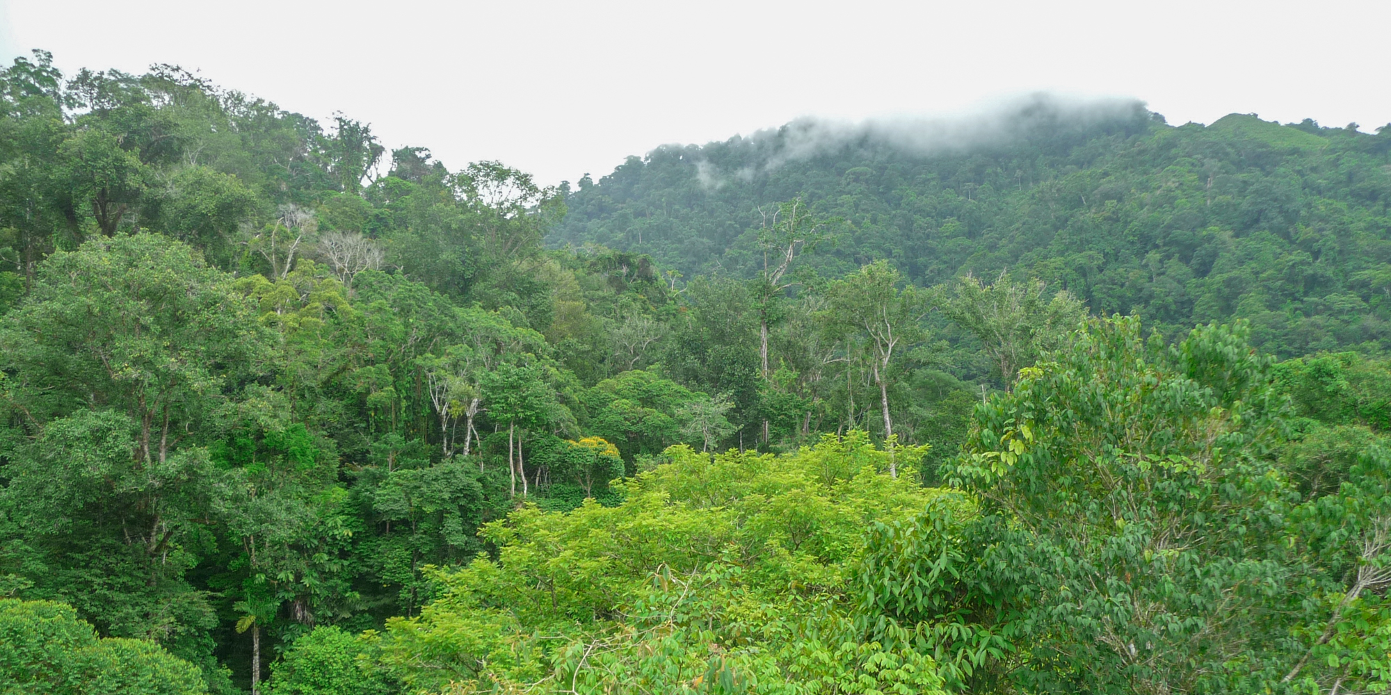 0 bed Land For Sale in Ojochal, Puntarenas - thumb 17