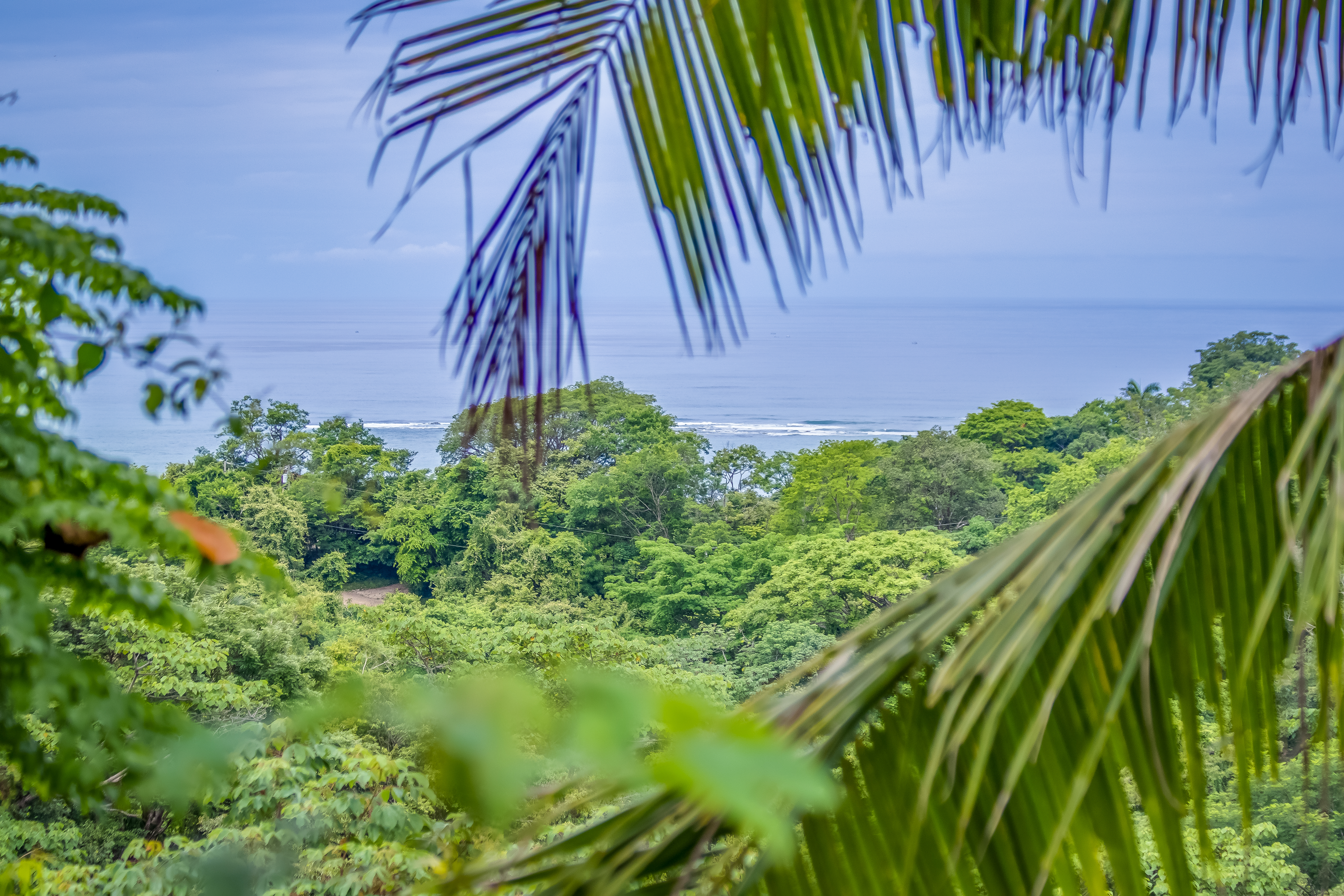 Featured property image