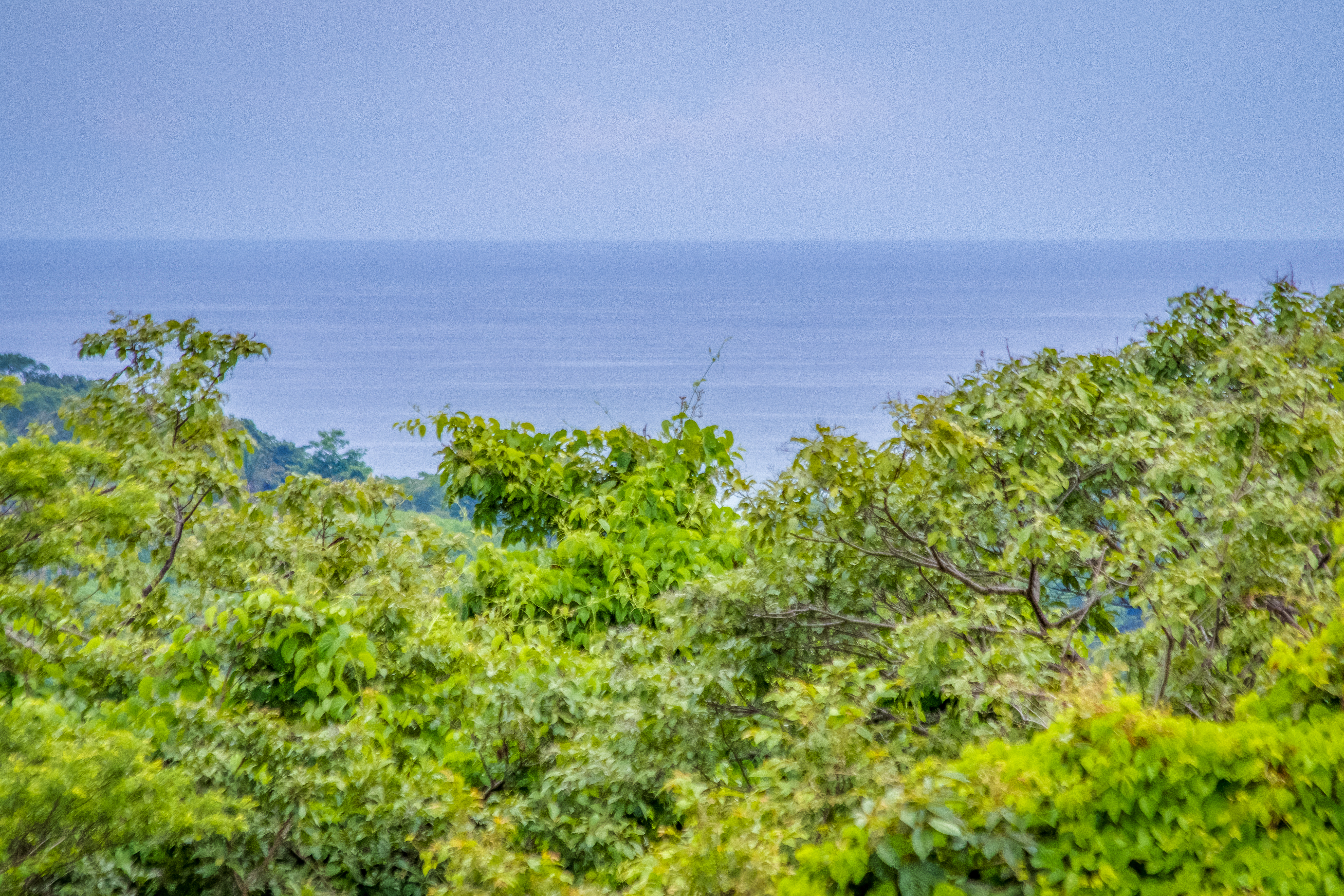 Featured property image