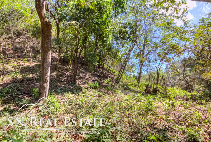 0 bed Land For Sale in Nosara, Guanacaste - thumb 1