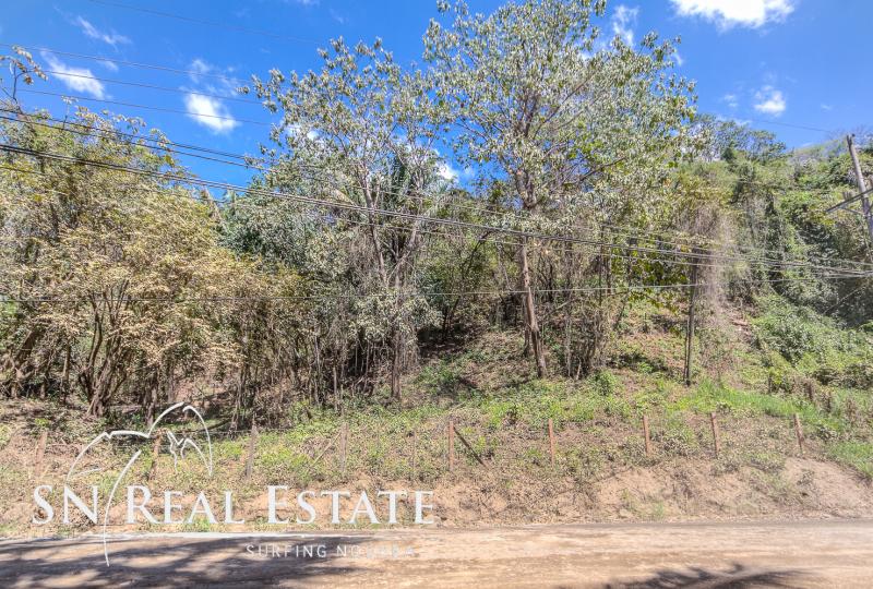 0 bed Land For Sale in Nosara, Guanacaste - thumb 3