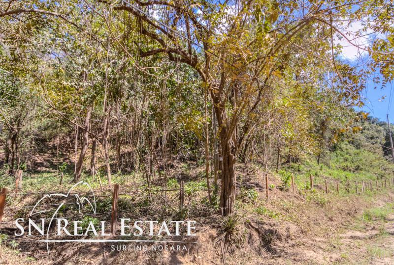 0 bed Land For Sale in Nosara, Guanacaste - thumb 5