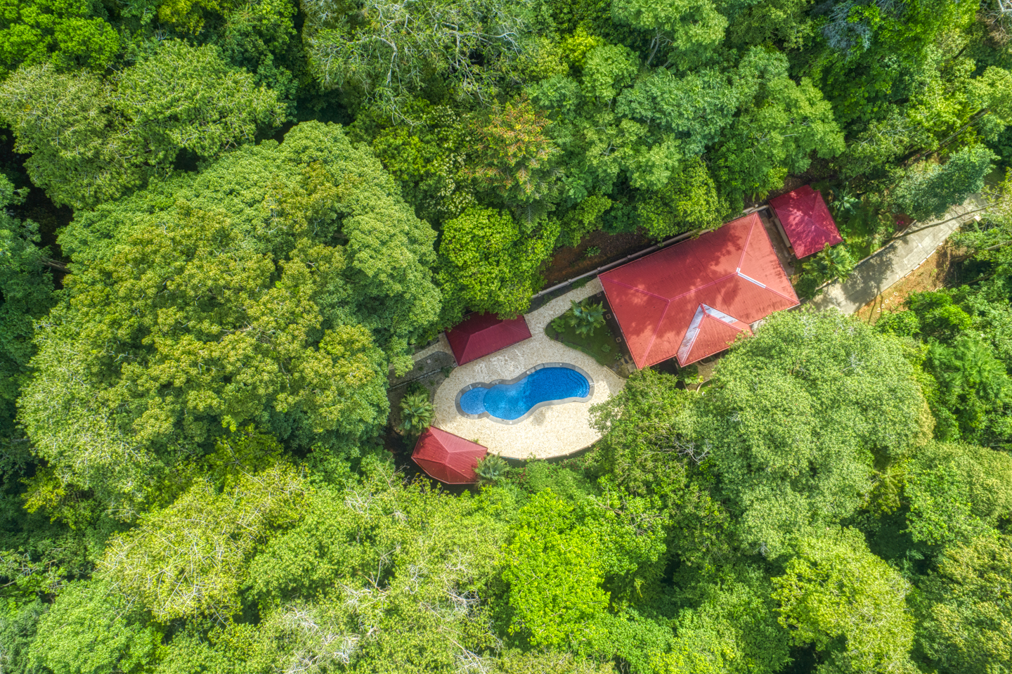 5 bed Single Family Homes For Sale in Uvita, Puntarenas - thumb 3