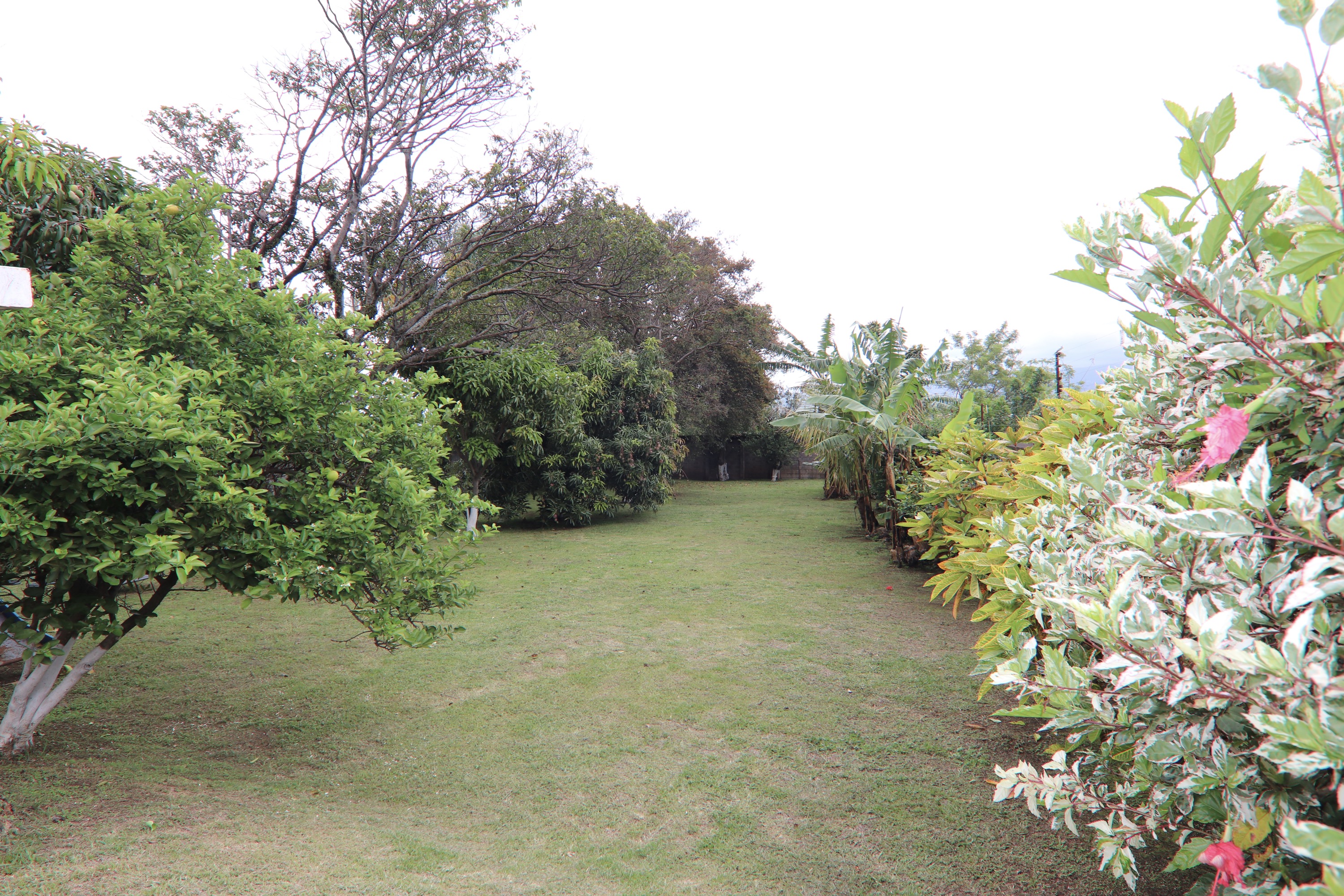 3 bed Single Family Homes For Sale in Heredia, Heredia - thumb 17