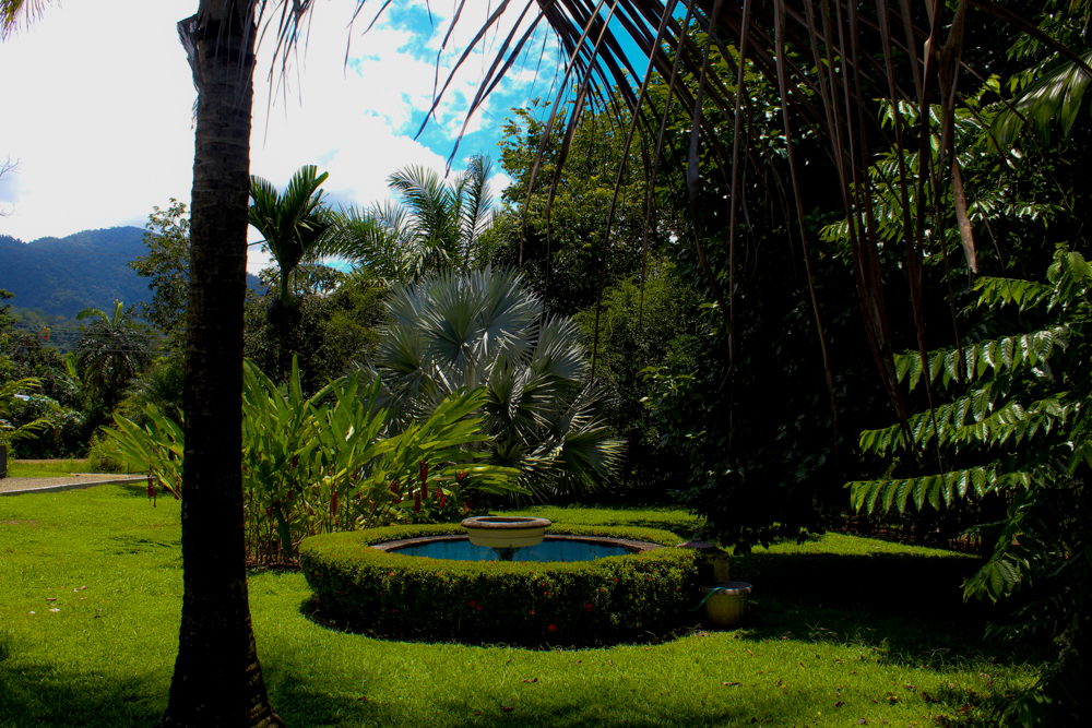 3 bed Single Family Homes For Sale in Ojochal, Puntarenas - thumb 16