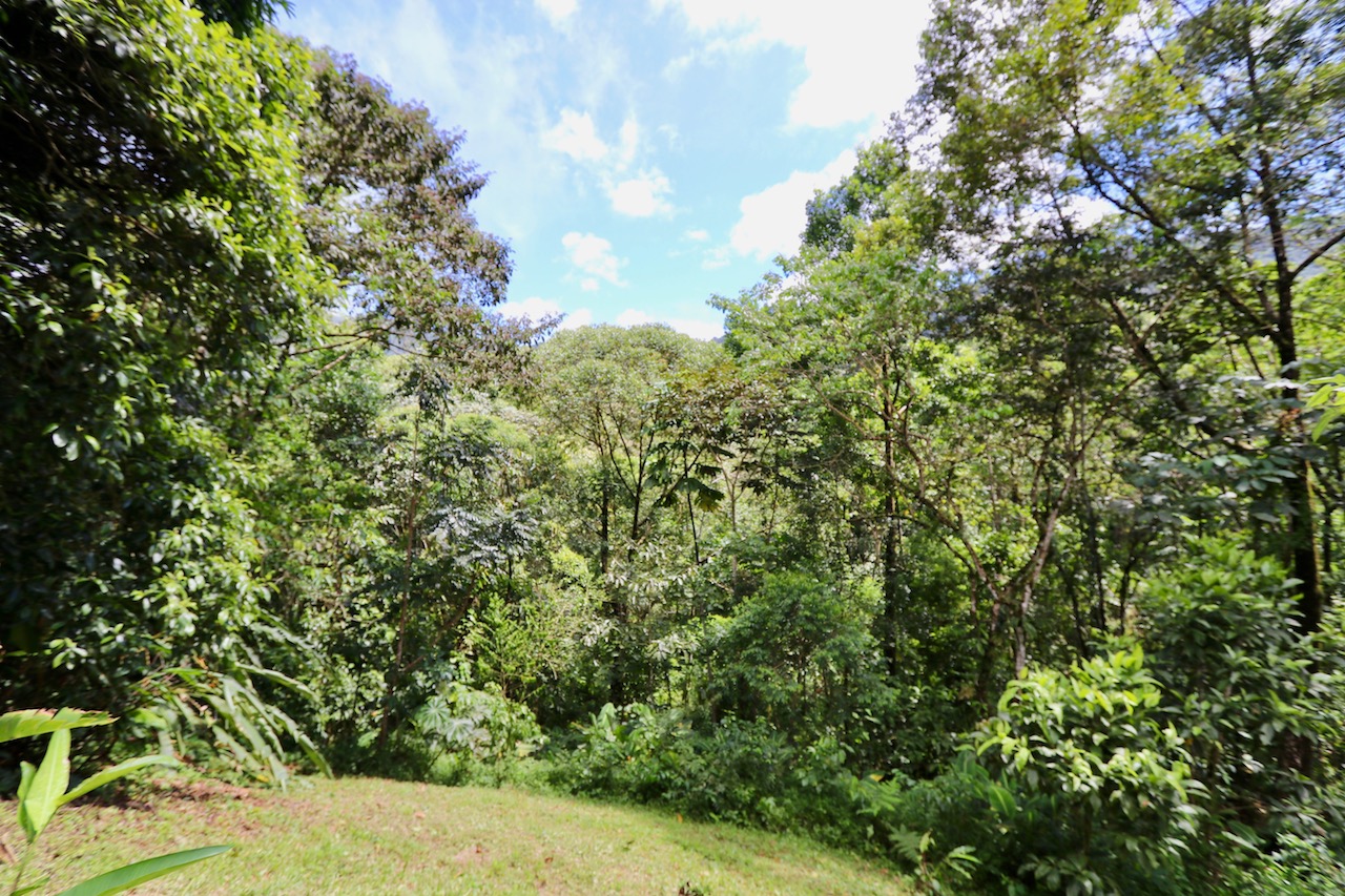 0 bed Land For Sale in Dominical, Puntarenas - thumb 2